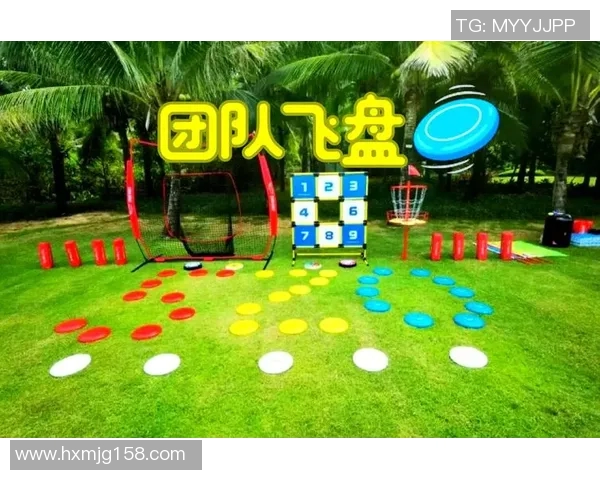 运动飞盘深度解析广州飞盘队的防守与反击战术策略